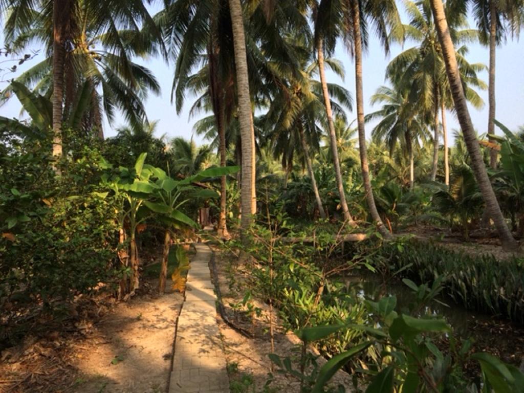 Charming Countryside Homestay Ben Tre Esterno foto