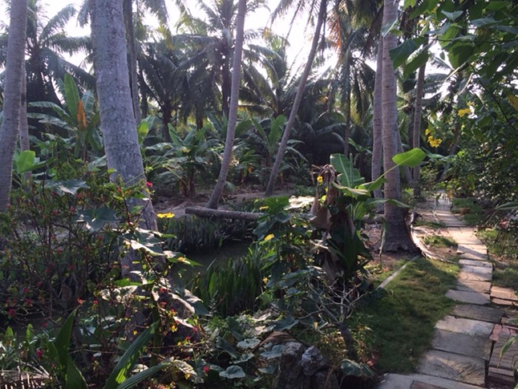 Charming Countryside Homestay Ben Tre Esterno foto